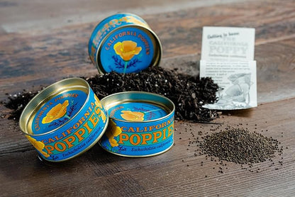 California Poppy | Flower Seed Grow Kit | The Jonsteen Company