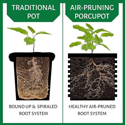 Air Pruning Pots for Plants - Complete Grow Kit - 1 Gallon Pot & 5 Gallon Pot - Promote Healthy Roots Complete Air Pruning, Re-Planting & Plant Rooting System
