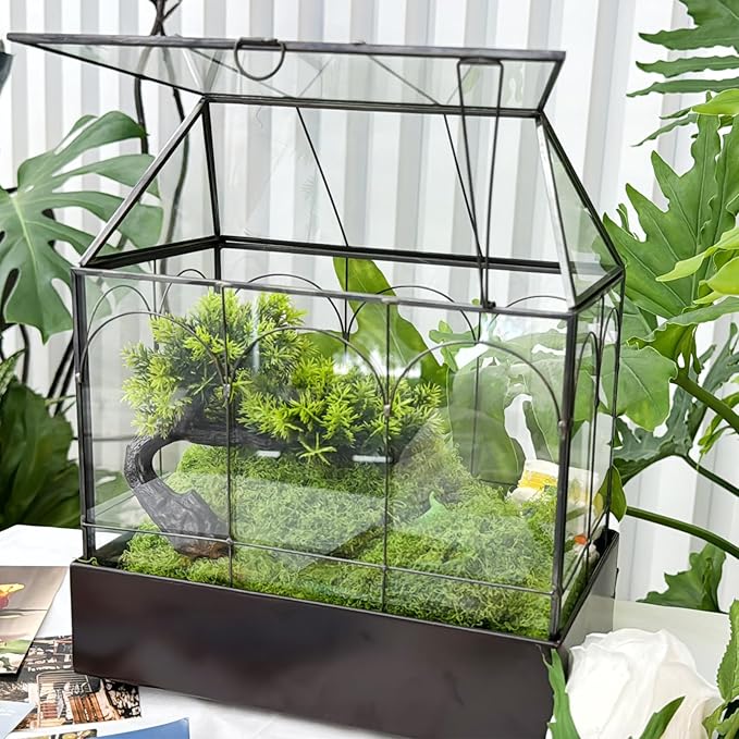 HighFree Large Glass Terrarium with Metal Tray, Glass Greenhouse Terrarium, Succulent Terrarium Kit for Succulents, Cacti, Snails, Spiders, and Miniature Reptiles, Black (Velvet Bottom)