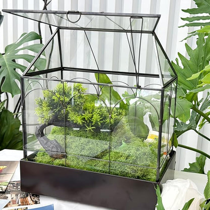 HighFree Large Glass Terrarium with Metal Tray, Glass Greenhouse Terrarium, Succulent Terrarium Kit for Succulents, Cacti, Snails, Spiders, and Miniature Reptiles, Black (Velvet Bottom)