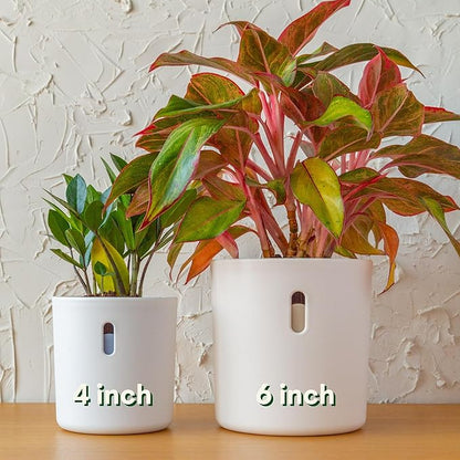 Self Watering Pot for Leca and Pon, Semi Hydroponic Planter for Indoor Plants, Clear Inner Pot & Water Level Indicator (Cream (4-Pack), 4 inch)