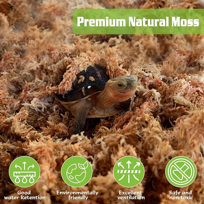 ZeeDix 6 oz Sphagnum Moss for Plants Indoor, Long Fiber Natural Orchid Moss for Repotting Carnivorous Plants, Succulents, Monstera, Flower & Reptile Terrariums Habitats (Expands to 8 qt)