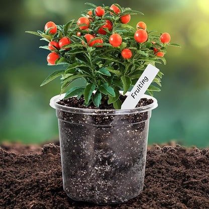 Bonviee 20 Packs 6.7 Inch Clear Nursery Pots, 1 Gallon Plastic Seedling Pots with Drainage Holes, Planters for Indoor Plants and Small Seed Starters, High Transparency Flower Pots with 10 Plant Labels