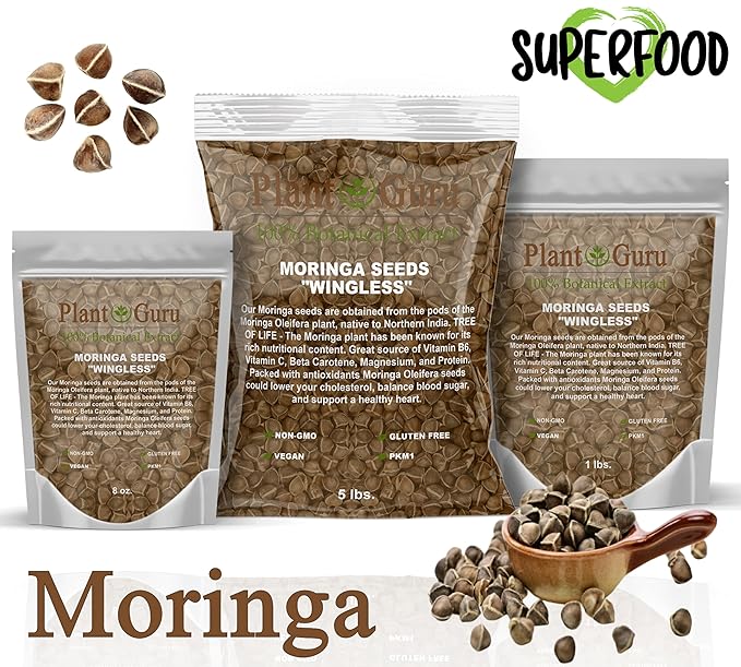 Moringa Seeds Wingless 1 lb. Wide Mouth JAR - PKM1 Variety - Edible Snacking - Planting - Moringa Oleifera - Malunggay - Semillas De Moringa - Drumstick Tree - Non-GMO - 1600 to 2000 Seeds