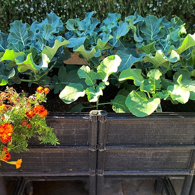 Elevated Raised Garden Bed with Legs 14" Depth Planter Box | Non-Toxic Sun Protected Material | 36" L X 24" W X 27" H for Easy Planting | Vegetable & Herb Backyard Patio