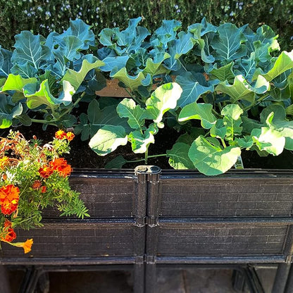 Elevated Raised Garden Bed with Legs 14" Depth Planter Box | Non-Toxic Sun Protected Material | 36" L X 24" W X 27" H for Easy Planting | Vegetable & Herb Backyard Patio