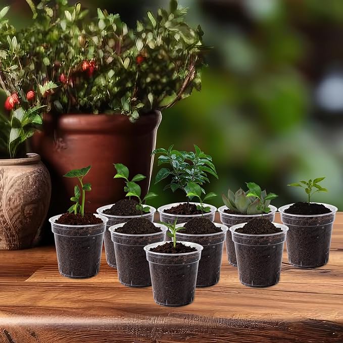 120 Pcs Clear Mini Nursery Pots for Plants, 2 Inch Plastic Seedling Clear Plant Pots with Drainage Holes, Seed Starting Trays for Various Seeds Indoor & Outdoor Flower Planters