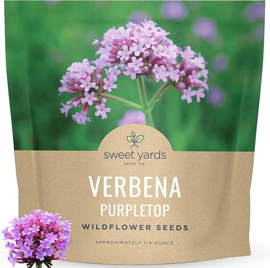 Purpletop Verbena – Large 1/4 Ounce Seed Packet – 25,000 Flower Seeds for Planting – Verbena bonariensis