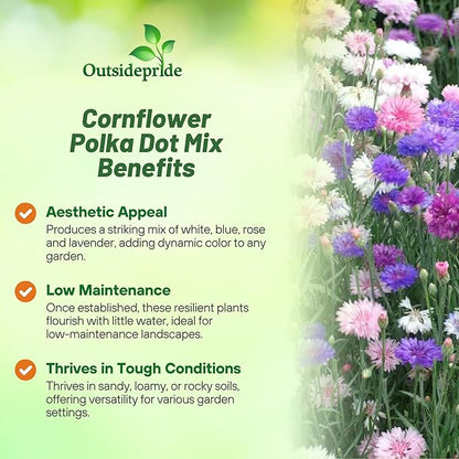 Outsidepride Polka Dot Mix Cornflower Seeds for Planting - 1000 Pcs. Annual Bachelor's Button Flower Seeds for Cut Flower Gardens, Drought-Tolerant, Attracts Pollinators, Ideal for Borders & Bouquets