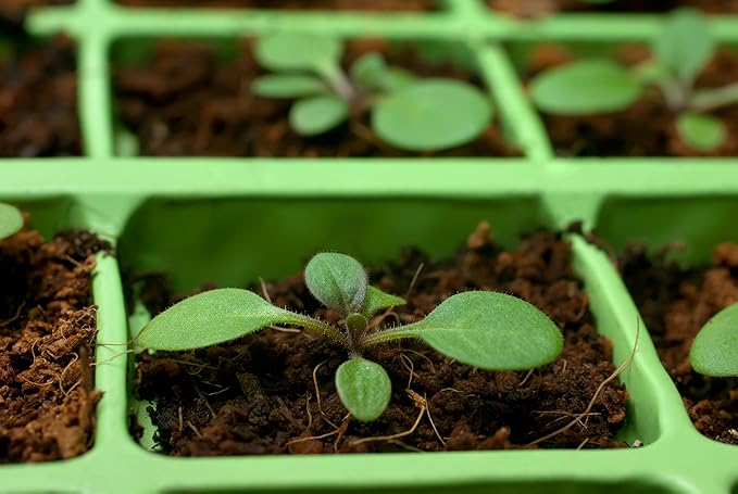 Coco Coir Brick, OMRI Listed for Organic Use (50)