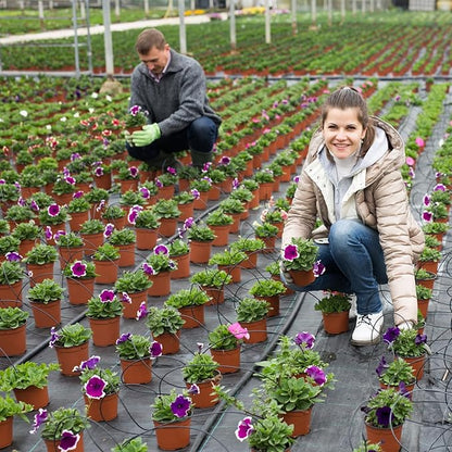 600 Pcs 4 Inch Plant Nursery Pots Bulk Plastic Pots Plants Seed Starting Pots Garden Pots with Drainage Holes for Plants Succulents Seedlings Cuttings Transplanting (600, 4 Inch)