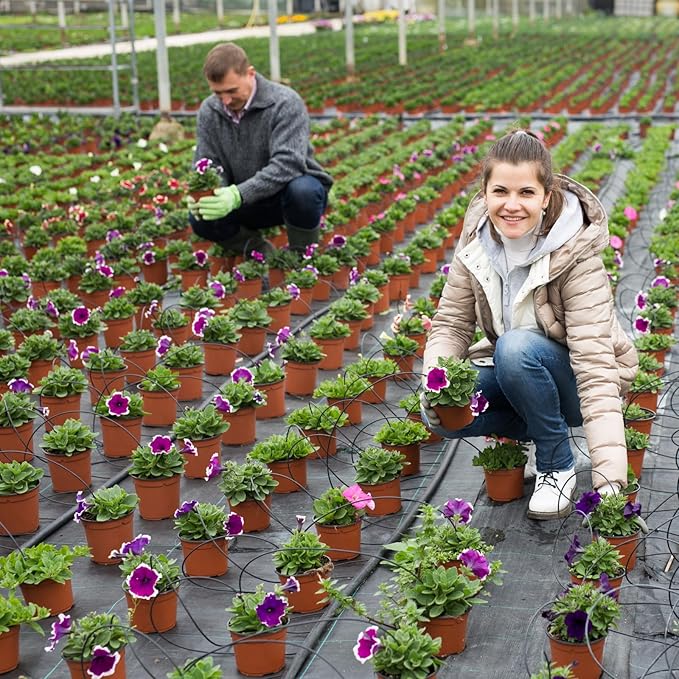 300 Pcs 4 Inch Plant Nursery Pots Bulk Plastic Pots Plants Seed Starting Pots Garden Pots with Drainage Holes for Plants Succulents Seedlings Cuttings Transplanting (300, 4 Inch)