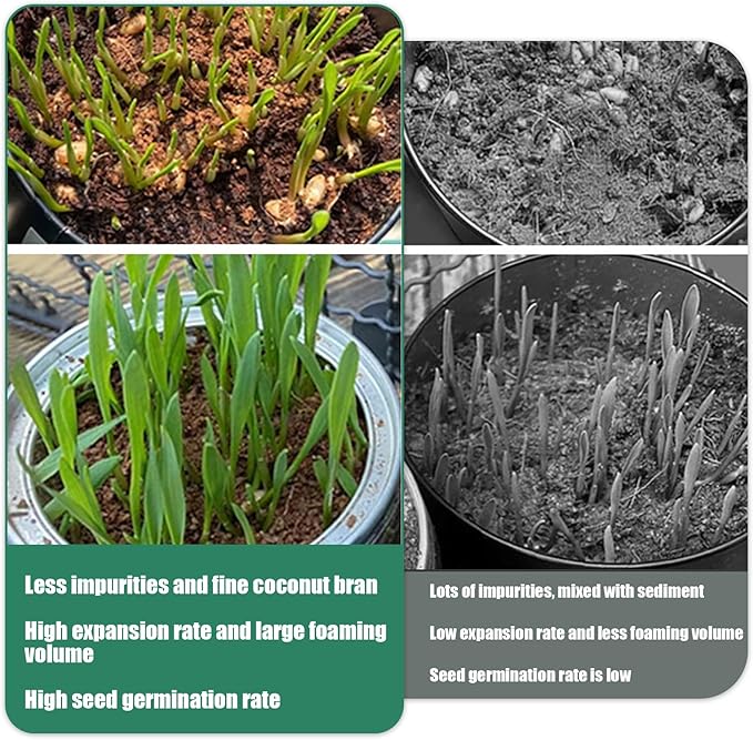Coco Coir Brick, Coco Coir Brick 5Pcs Compressed Coconut High Expansion Coconut Soil 100g Organic Plant Soil for Planting, Gardening, Potting Herbs, Flowers