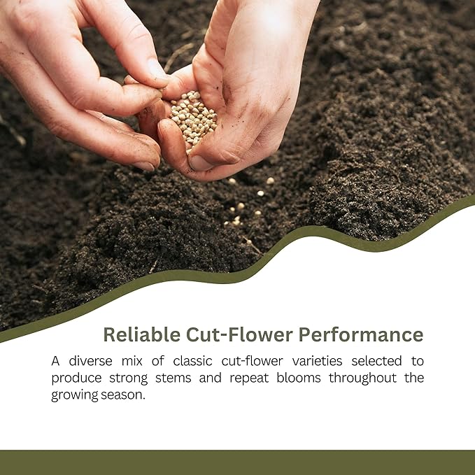 Cut Flower Garden Seed Mix – 15,000+ Seeds – 1 oz Extra Large Packet – Non-GMO Flower Seeds – Zinnia, Cosmos, Larkspur, Calendula, Bishop’s Flower & More for Bouquets & Cutting Gardens