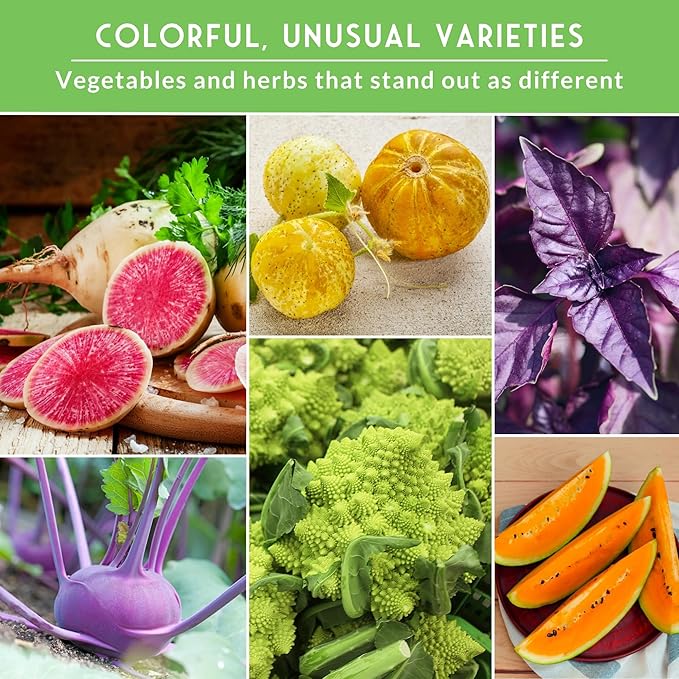 Rare Exotic Vegetable & Fruit Seeds for Planting – 6 Variety Heirloom Pack with Romanesco, Lemon Cucumber, Watermelon Radish & More by Survival Garden Seeds