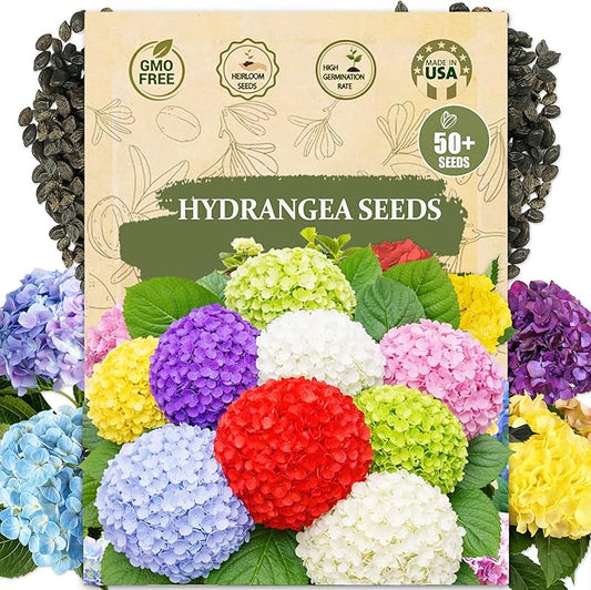 Hydrangea Seeds for Planting - 50 Heirloom Classic Flower Seeds - Beautiful Blooming Ornamental Shrub for Home Garden, Borders & Containers