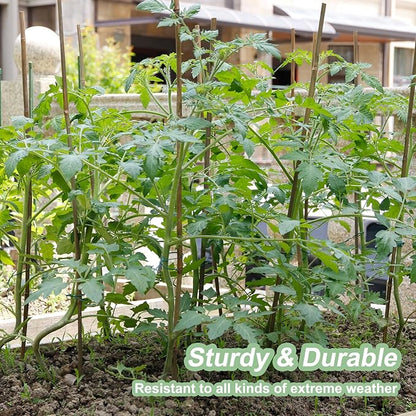 50Pack Bamboo Stakes for Plants, Bamboo Poles Eco-Friendly, Plant Stakes for Tomato, Bean, Flowers,Trees Potted and Climbing Plant,Natural Garden Stakes 4.8FT Height