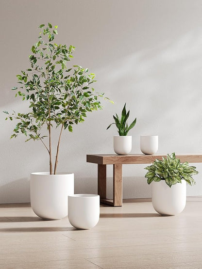 LE TAUCI 8 Inch Plant Pot, Ceramic Pot with Drainage Hole & Rubber Plug, Indoor Planter for Herbs & Small Houseplants, Cylinder Planter for Home Office, White