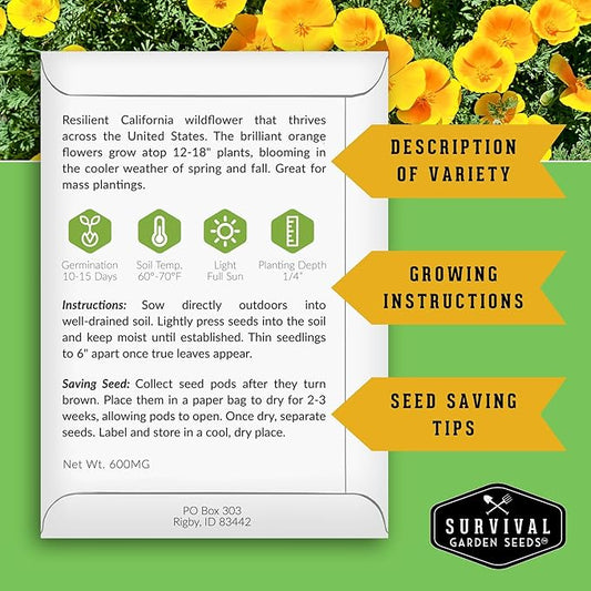 Survival Garden Seeds - California Poppy Seeds for Planting - 5 Packets with Instructions to Grow Eschscholzia Californica Plants in Your Home Flower Garden - Non-GMO Heirloom Wildflower Variety