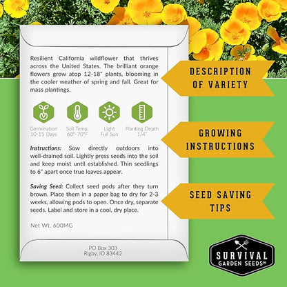 Survival Garden Seeds - California Poppy Seeds for Planting - 2 Packets with Instructions to Grow Eschscholzia Californica Plants in Your Home Flower Garden - Non-GMO Heirloom Wildflower Variety