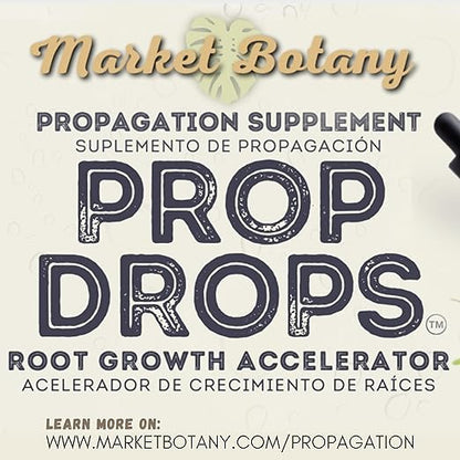 Prop Drops by Market Botany | Propagation Plant Drops to Promote Healthy Root Growth