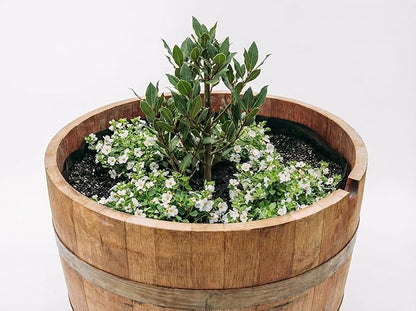 Barrel Liner Kit – Heavy-Duty 100 Micron Plastic Liner with Drain Tubes & Mesh – Prevents Rot, Conserves Water, Fits Wine, Whiskey, Acacia & Cedar Planters – Made in New Zealand