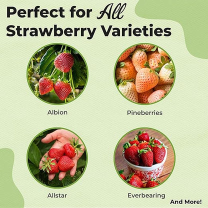 Perfect Plants Organic Strawberry Potting Mix | Organic Premium Mix | Use with Strawberry's, Pineberry's, or Other Fruit Plants (4qt)