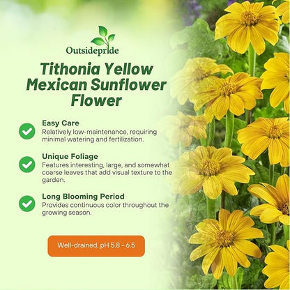 Outsidepride Yellow Torch Mexican Sunflower Seeds - 1000 Pcs Annual, Easy-to-Grow, Yellow Tithonia Speciosa Flower Seeds w/Drought-Tolerant Blooms for Pollinator Gardens & Vibrant Summer Landscaping
