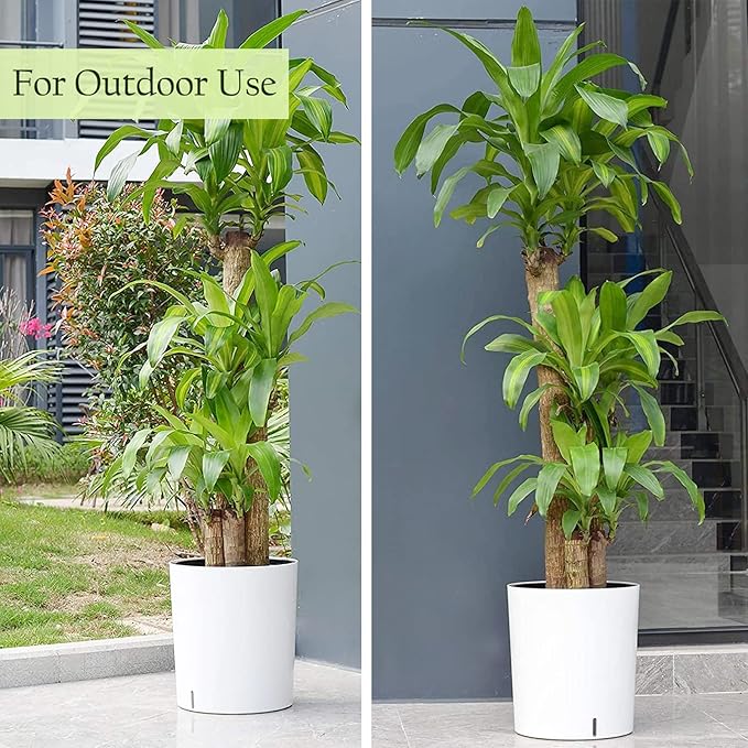 SAROSORA Large Round Self Watering Planter Pot 12.5'' 2-Pack for Home Garden Patio Tall Tree(White 2-Pack)
