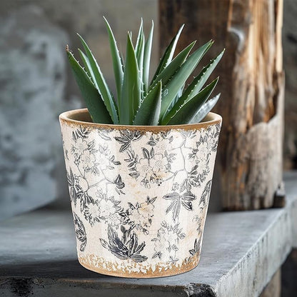Farmhouse Ceramic Planter 5.5 Inch Large Plants Pot Crack Beige Gray Flowers Plant Pots with Drainage Hole Indoor Plants Kitchen Rustic Antique Decor Gift