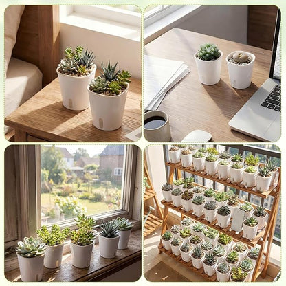 100 Pcs Self Watering Pots Self Watering Planters for Indoor Planters Plastic Garden Flower Pots with Level Indicator Vents for Herbs (3 Inch)