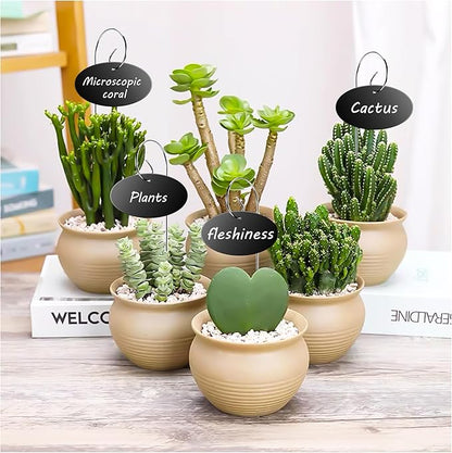 Plant Labels, 25 Pcs Acrylic Garden Labels Stakes with Pen, Plant Markers for Outdoor Garden, Plant Tags for Potted Plants, Seed, Flowers