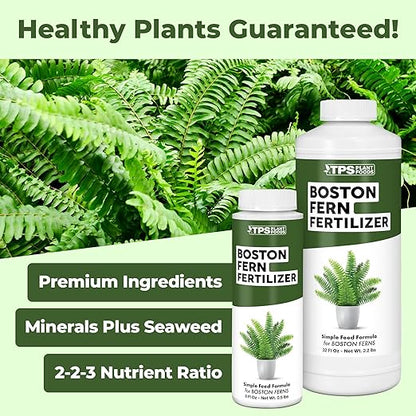 Boston Fern Fertilizer for Boston Fern, Great for Fluffy Ruffles, Dallas, and Compacta Fern Varieties, Liquid Fertilizer by TPS Plant Foods, 8 oz (250mL)