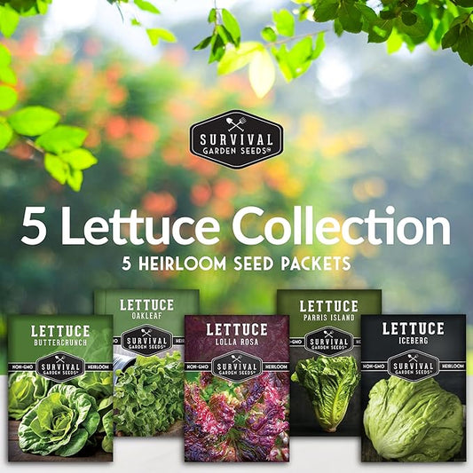 Lettuce Seeds 5-Variety Collection – Heirloom Romaine (Parris Island), Buttercrunch, Iceberg, Oakleaf, Lolla Rosa Lettuces for Planting – Non-GMO, Open-Pollinated – Survival Garden Seeds