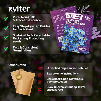 KVITER 1200 Forget Me Not (Myosotis sylvatica) Seeds – Charming Blue Spring Flowers for Shady Gardens – Easy to Grow, Ground Cover Use, Perfect for Borders and Containers