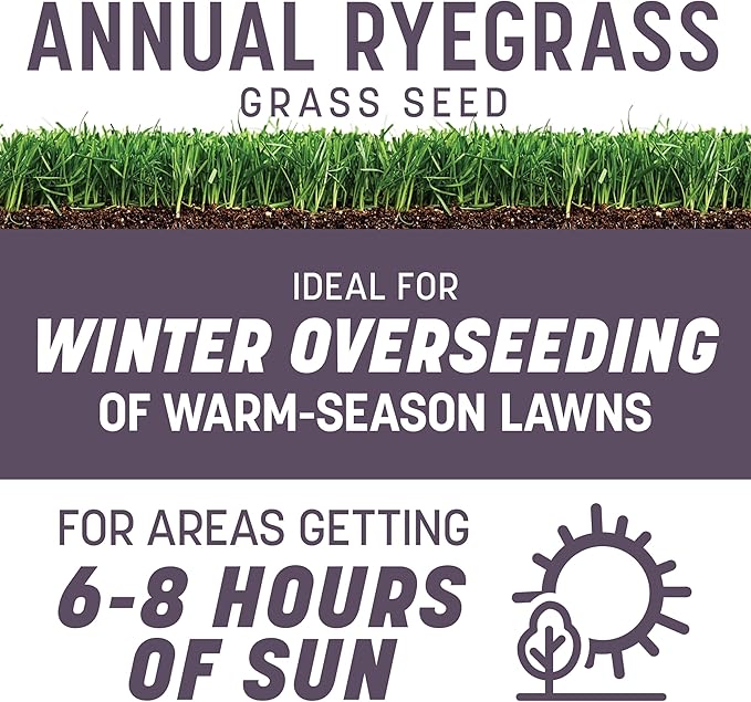 Pennington Annual Ryegrass Grass Seed 10 lb