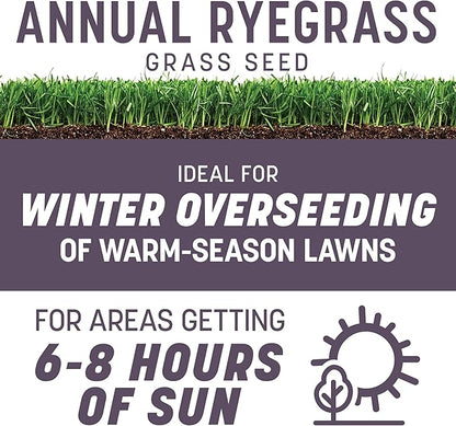 Pennington Annual Ryegrass Grass Seed 10 lb