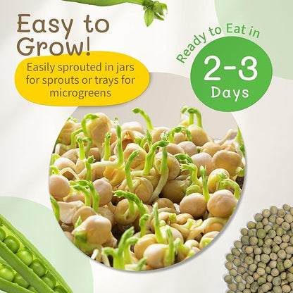 The Sprout House Green Peas - Organic Green Peas for Sprouting or Cooking, High Germination, Non-GMO, Resealable Bag for Freshness, Perfect for Salads, Shoots, & Healthy Recipes, 1LB Green Pea Seeds
