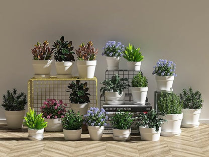 36 Mini White Flower Pots - 2 inch Clay, Cactus & Succulent Nursery Pots with Drainage Holes, Indoor/Outdoor Suitable