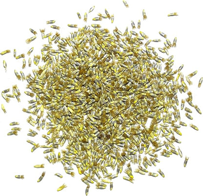 Seed Needs Cornflower Seeds for Planting Dwarf Blue Bachelor's Button Wildflowers - Heirloom & Open Pollinated Flowers to Plant and Grow an Outdoor Home Grown Butterfly Garden (2 Packs)