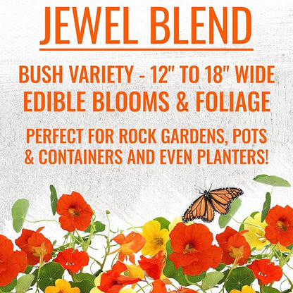 Seed Needs Nasturtium Seeds for Planting Edible Flowers | Bulk Collection Set of Jewel Blend & Double Gleam Nasturtiums | Colorful Blooms Attract Pollinators | Trailing and Bush Varieties