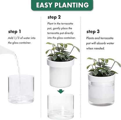 Phoenix Vine 4 Inch Self Watering Planter, White Terracotta Clay Pot with Glass Reservoir for Indoor Plants, Herbs, Flowers, Set of 1, 52-B-E-1