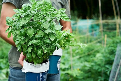 Organic Growing Fertilizer 32 oz, CDFA Organic Registered. Plant Care Fertilizer for Vegetable Gardens Like Tomato, Cucumber, Squash, Beans and All Other Plants