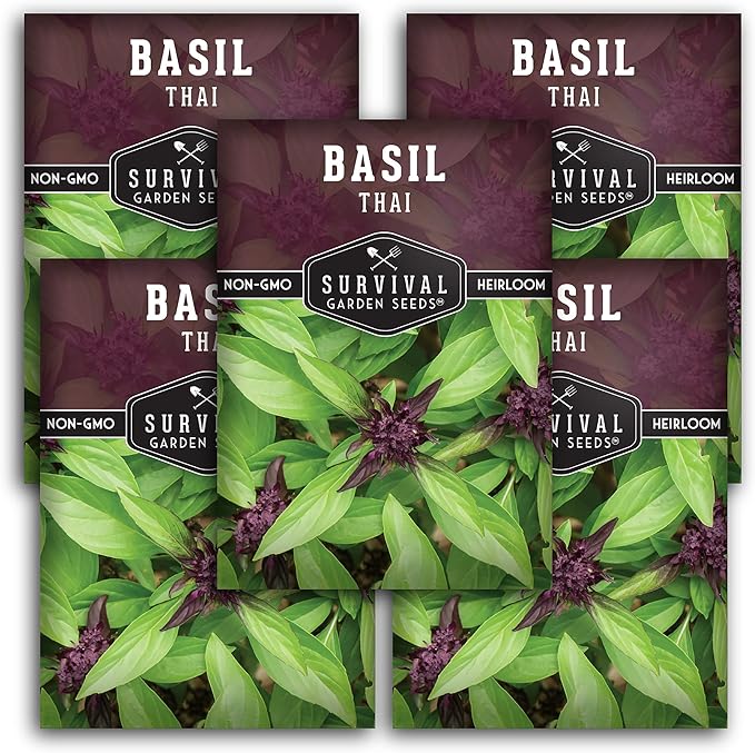 Thai Basil Seeds for Planting – Sweet Thai Basil with Anise Flavor for Asian Cooking – Heirloom Non-GMO Herb Seed for Indoor or Outdoor Gardens – Survival Garden Seeds (5 Pack)
