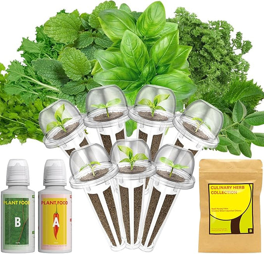 LYKOCLEAN 7 Pods Herb Seed Pod Kit Compatible with AeroGarden, iDoo, Ahopegarden, GARDENCUBE Hydroponics Growing System, 350+ Seeds with Basil, Parsley, Mint, Cilantro