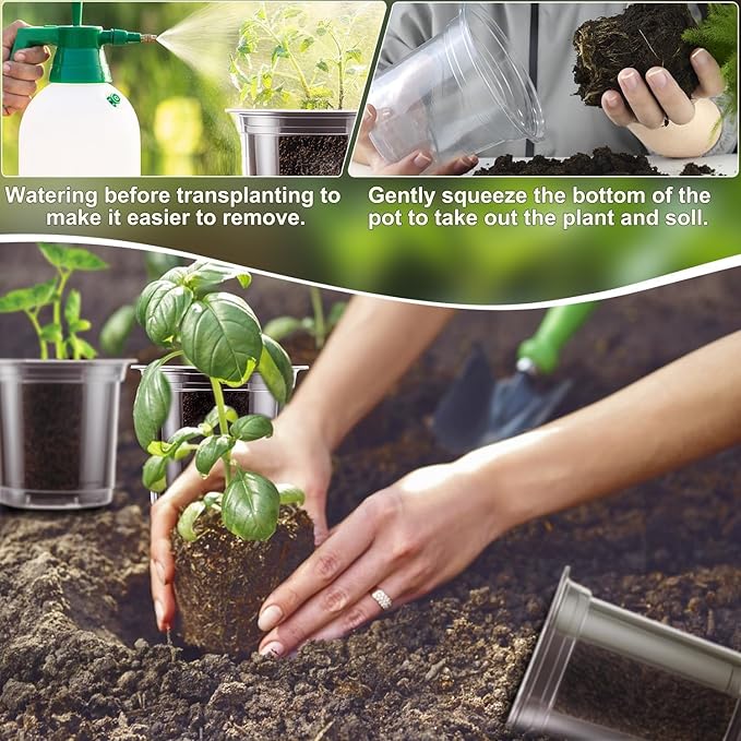 SupKing 5 Inch Clear Plant Nursery Pots Durable Plastic Seed Starter 8 Packs Large Orchid Flower Pot with Drainage Holes for Transplanting Succulents Cuttings Seedlings Bonus 15 Labels