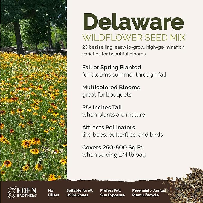 Eden Brothers Delaware Wildflower Mixed Seeds for Planting, 1/4 lb, 120,000+ Seeds with Sweet William, Candytuft | Attracts Pollinators, Plant in Spring or Fall, Zones