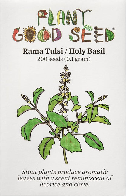 Plant Good Seed Rama Holy Basil Seeds for Planting: Traditional Tea Herb, Fragrant Purple Green Tulasi - 200 Seed Packet