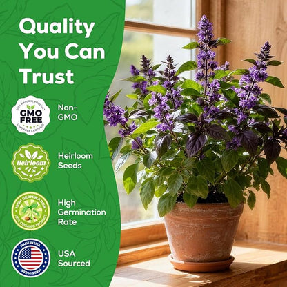 Thai Basil Seeds for Planting - 500 Heirloom, Non-GMO Seeds - Thai Basil Herb Seeds for Home Herb Garden, Indoor & Outdoor Herb Gardening