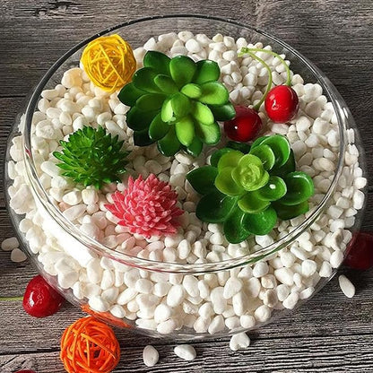 Lotus Bowl Planter Glass Lotus Bowls for Planting in Water Indoors Bonsai Pots No Drainage Hole Hydroponic Aquatic Plants Terrarium Fish Bowls Large